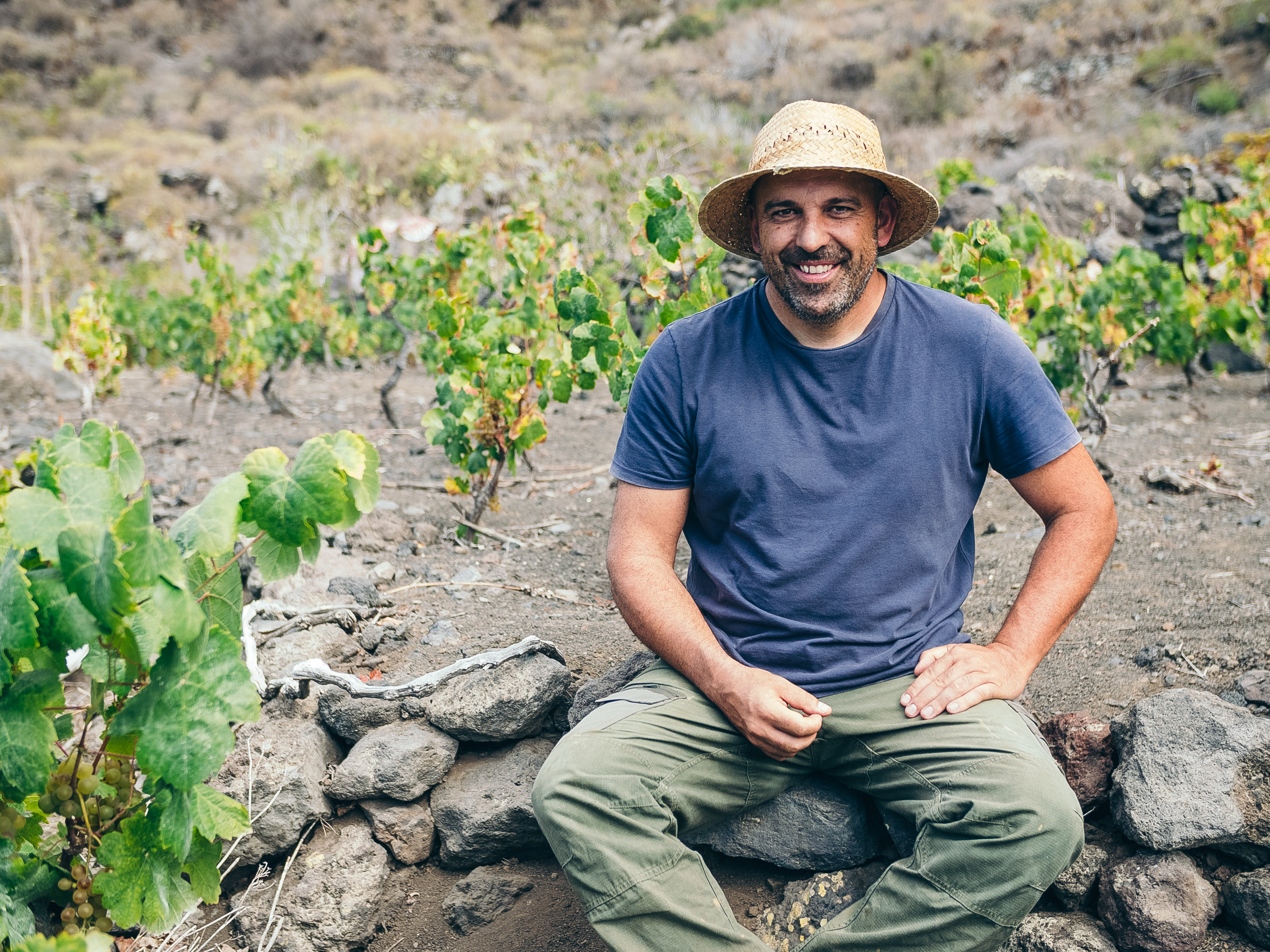 Uva VENDIMIAR. Vinos de El Hierro.